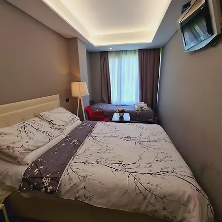 Driti & Tirana